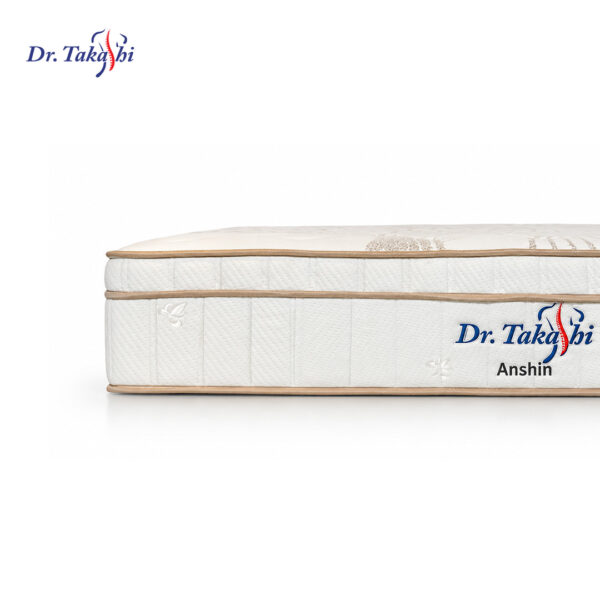 Dr. Takashi Anshin 11"