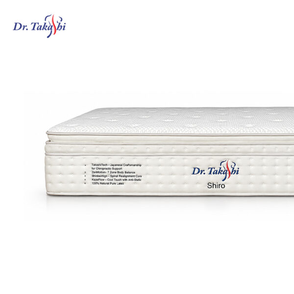 Dr. Takashi SHIRO 17"