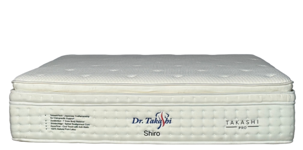 Dr. Takashi SHIRO 17"