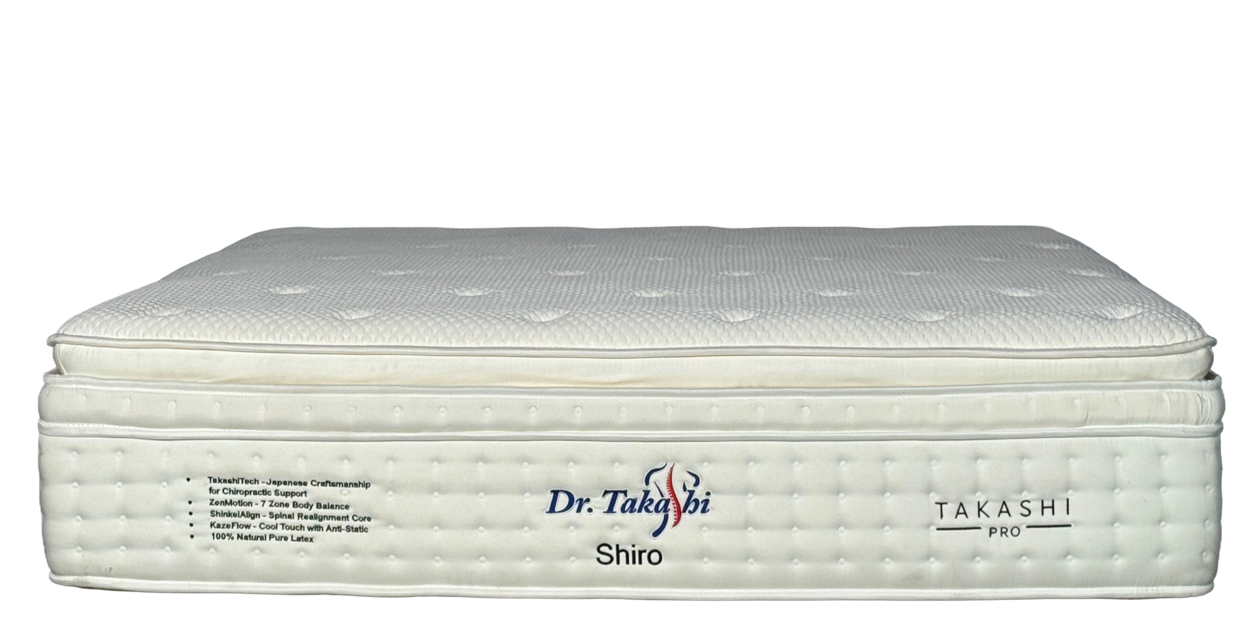 Dr. Takashi SHIRO 17"