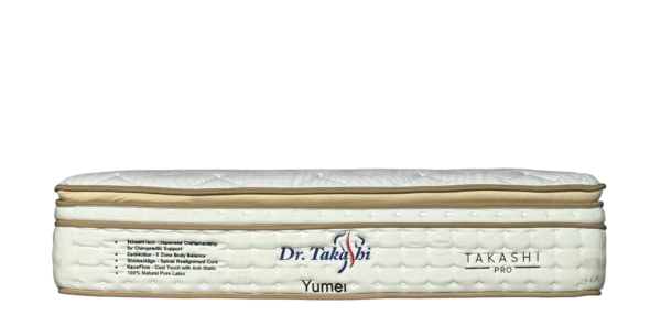 Dr. Takashi YUMEI 13"